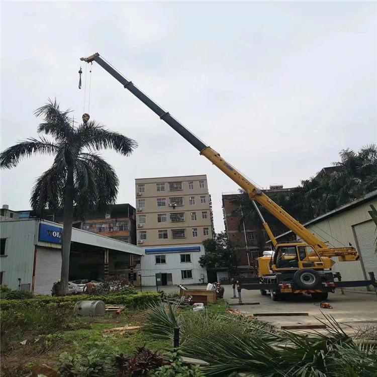 蒙阴汽车吊出租多少钱？全面解析与市场行情